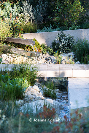 Water feature and limestone path over the stream with marginal plants including Juncus effusus (soft rush)