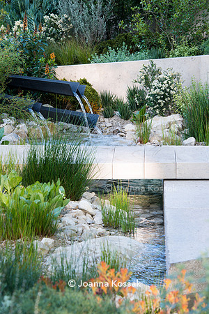 Water feature and limestone path over the stream with marginal plants.