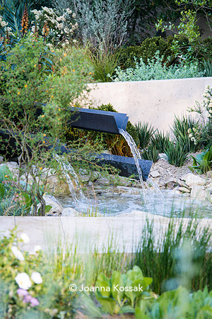 A water feature and limestone path over the stream with marginal plants including Juncus effusus (soft rush)