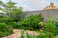 RBC Brewin Dolphin Garden, Desing by Paul Hervey-Brookes
