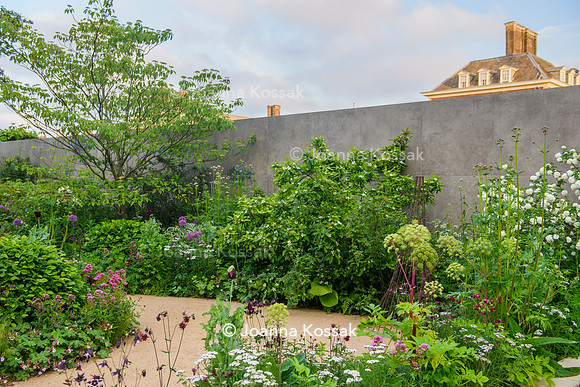 RBC Brewin Dolphin Garden, Desing by Paul Hervey-Brookes