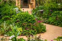 RBC Brewin Dolphin Garden, Desing by Paul Hervey-Brookes