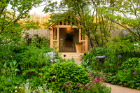 RBC Brewin Dolphin Garden, Desing by Paul Hervey-Brookes