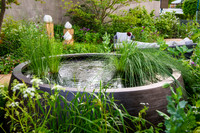 RBC Brewin Dolphin Garden, Desing by Paul Hervey-Brookes