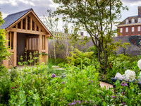 RBC Brewin Dolphin Garden, Desing by Paul Hervey-Brookes