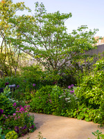 RBC Brewin Dolphin Garden, Desing by Paul Hervey-Brookes