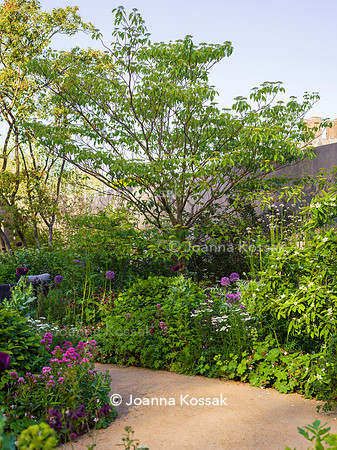 RBC Brewin Dolphin Garden, Desing by Paul Hervey-Brookes