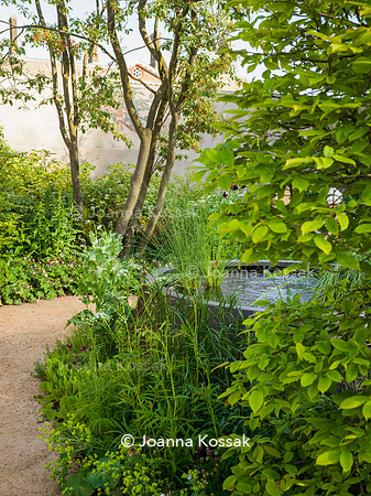RBC Brewin Dolphin Garden, Desing by Paul Hervey-Brookes