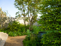 RBC Brewin Dolphin Garden, Desing by Paul Hervey-Brookes