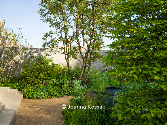 RBC Brewin Dolphin Garden, Desing by Paul Hervey-Brookes