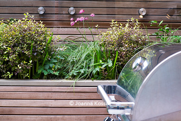 Clapham garden. Designed by Garden Club London, All Photos © Joanna Kossak
