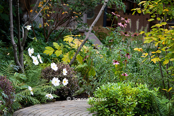 Clapham garden. Designed by Garden Club London, All Photos © Joanna Kossak
