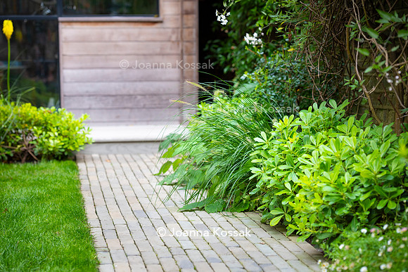 Clapham garden. Designed by Garden Club London, All Photos © Joanna Kossak