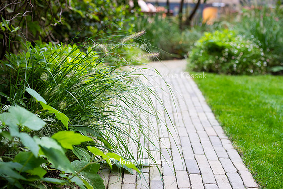 Clapham garden. Designed by Garden Club London, All Photos © Joanna Kossak