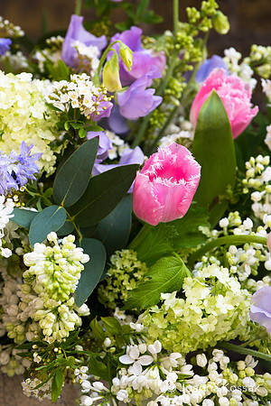 2019 April Advice shooting with Jonathan Moseley at The Judith Blacklock Flower School