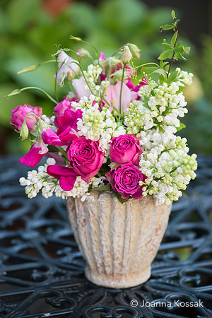 2019 April Advice shooting with Jonathan Moseley at The Judith Blacklock Flower School