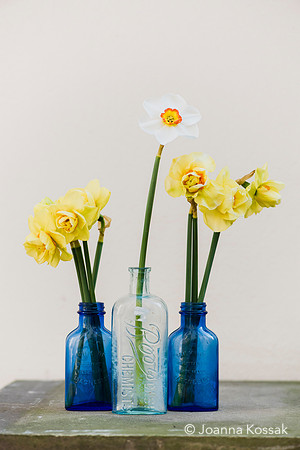 2019 April Advice shooting with Jonathan Moseley at The Judith Blacklock Flower School