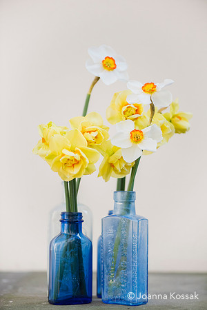 2019 April Advice shooting with Jonathan Moseley at The Judith Blacklock Flower School