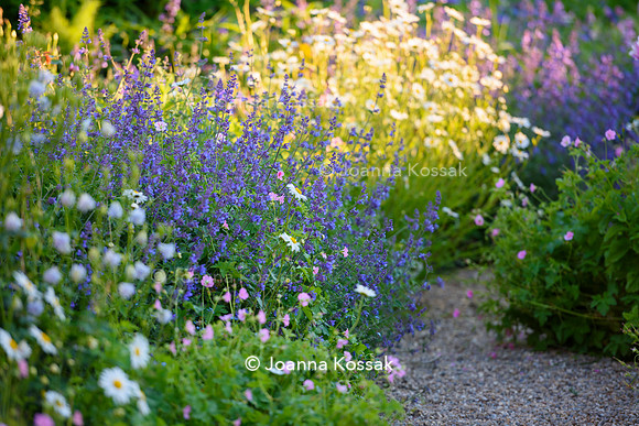 Old Vicarage, Designer Kate Smith, All Photos © Joanna Kossak