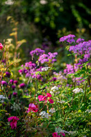 Horatio's Garden