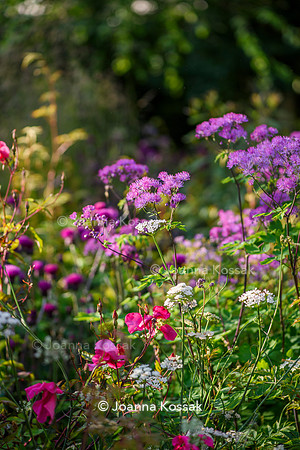 Horatio's Garden