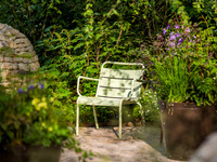 Horatio's Garden