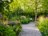 Horatio's Garden