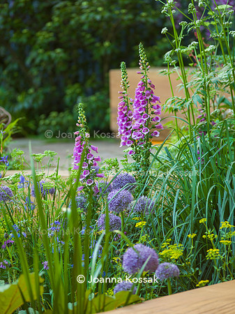 The Octavia Hill Garden by Blue Diamond with the National Trust
