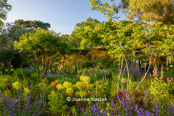 Ivy Cottage garden, Designer Matthew Childs, All Photos © Joanna Kossak