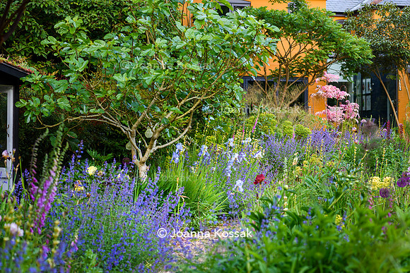 Ivy Cottage garden, Designer Matthew Childs, All Photos © Joanna Kossak