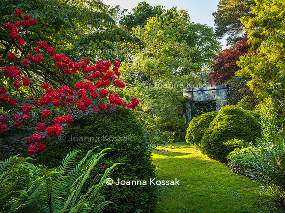 Ivy Cottage garden, Designer Matthew Childs, All Photos © Joanna Kossak