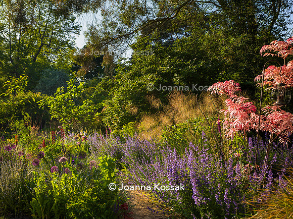 Ivy Cottage garden, Designer Matthew Childs, All Photos © Joanna Kossak