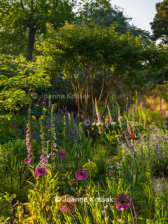 Ivy Cottage garden, Designer Matthew Childs, All Photos © Joanna Kossak