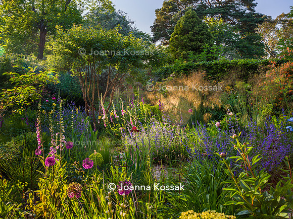 Ivy Cottage garden, Designer Matthew Childs, All Photos © Joanna Kossak