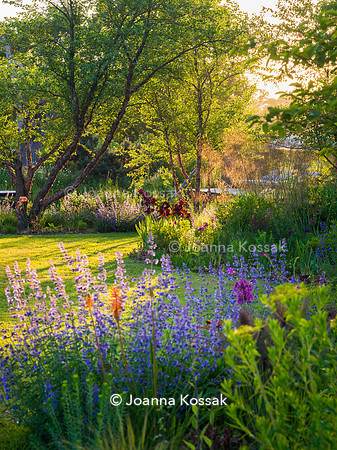 Ivy Cottage garden, Designer Matthew Childs, All Photos © Joanna Kossak