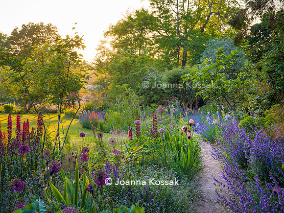 Ivy Cottage garden, Designer Matthew Childs, All Photos © Joanna Kossak