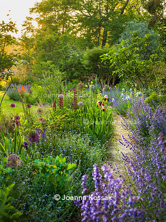 Ivy Cottage garden, Designer Matthew Childs, All Photos © Joanna Kossak