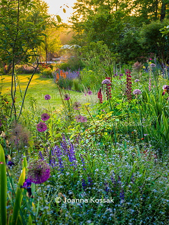 Ivy Cottage garden, Designer Matthew Childs, All Photos © Joanna Kossak