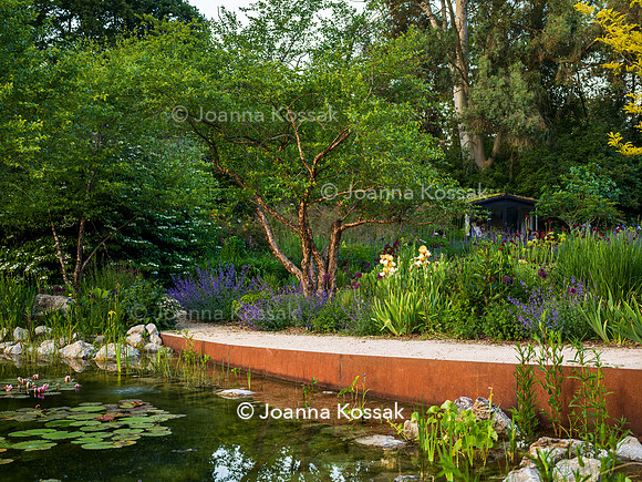 Ivy Cottage garden, Designer Matthew Childs, All Photos © Joanna Kossak