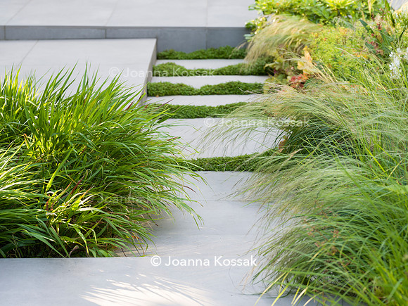 Edge Hill garden. Designer Tom Howard. All Photos © Joanna Kossak