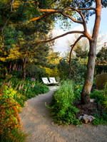 Stroke Association’s Garden for Recovery, Designer Miria Harris