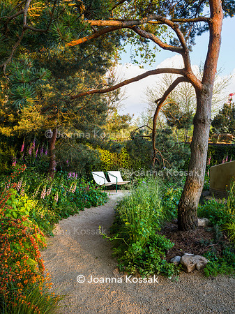 Stroke Association’s Garden for Recovery, Designer Miria Harris