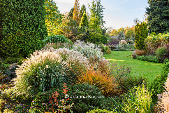 Great Comp Garden in Autumn