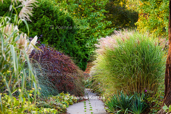 Great Comp Garden in Autumn