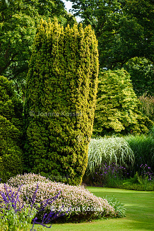 Great Comp Garden in Autumn