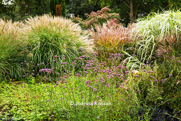 Great Comp Garden in Autumn