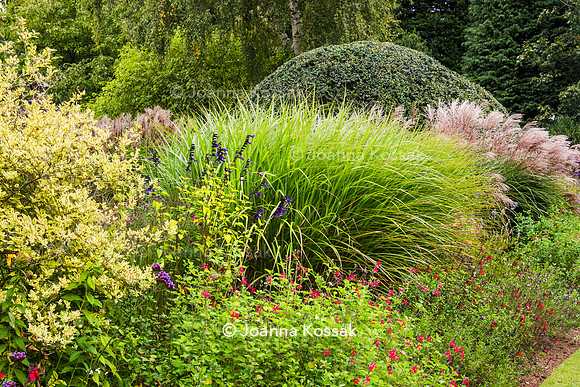 Great Comp Garden in Autumn