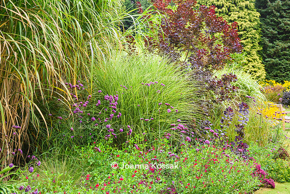 Great Comp Garden in Autumn