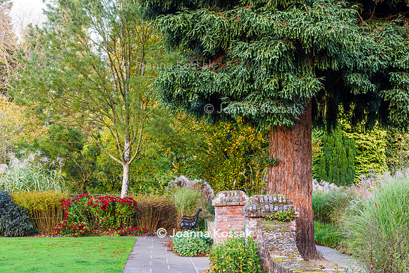 Great Comp Garden in Autumn