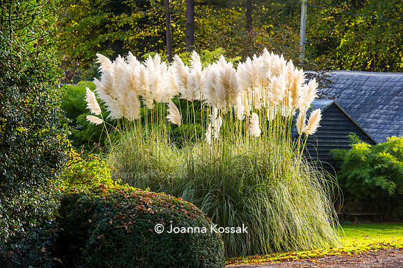 Great Comp Garden in Autumn